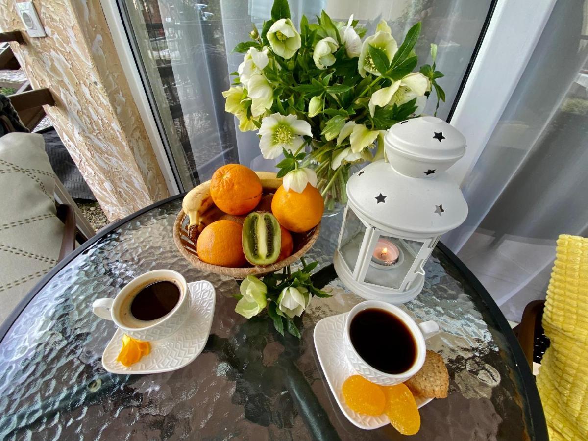 Мини-Отель Дарья В Пицунде Pitsunda Dış mekan fotoğraf