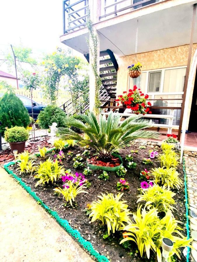 Мини-Отель Дарья В Пицунде Pitsunda Dış mekan fotoğraf
