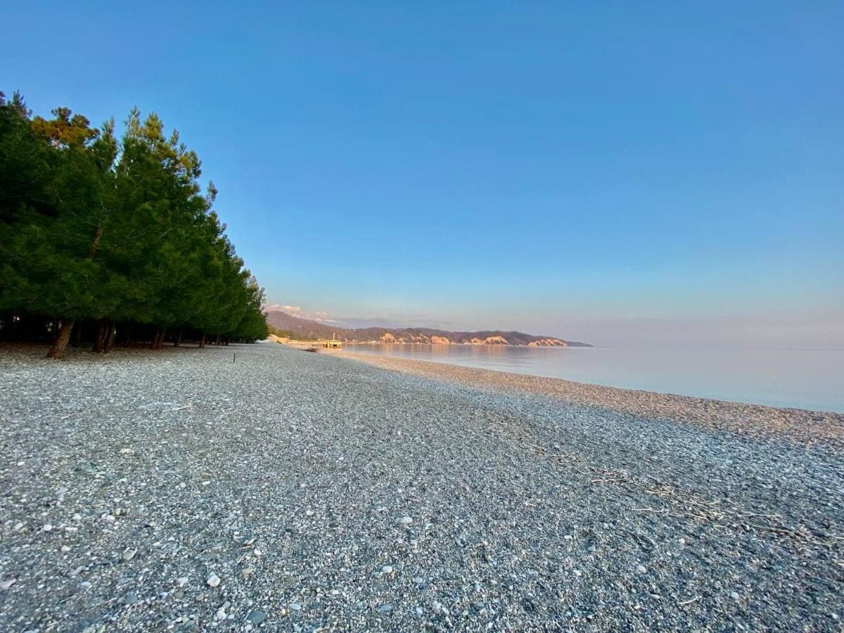 Мини-Отель Дарья В Пицунде Pitsunda Dış mekan fotoğraf